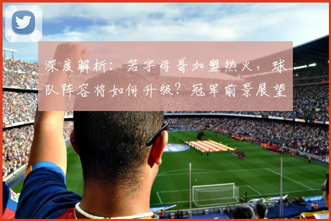 深度解析：若字母哥加盟热火，球队阵容将如何升级？冠军前景展望